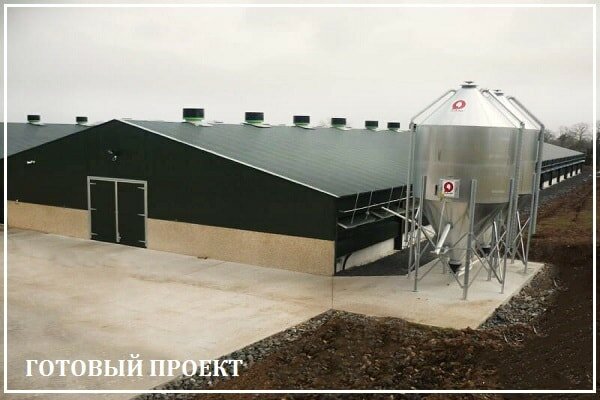 Этапы возведения птицефабрики от завода ВелесТент-тшт